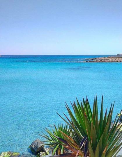Appartement "Dina" Kelibia Εξωτερικό φωτογραφία